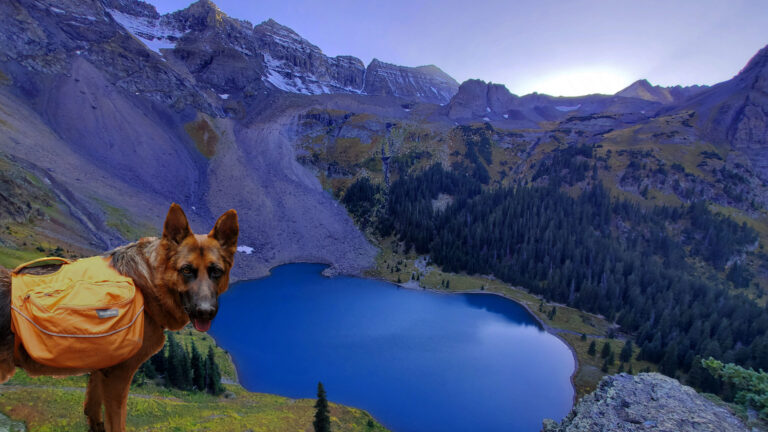 Most Dog Friendly Hiking Trial In Colorado? | Blue Lake Backpacking